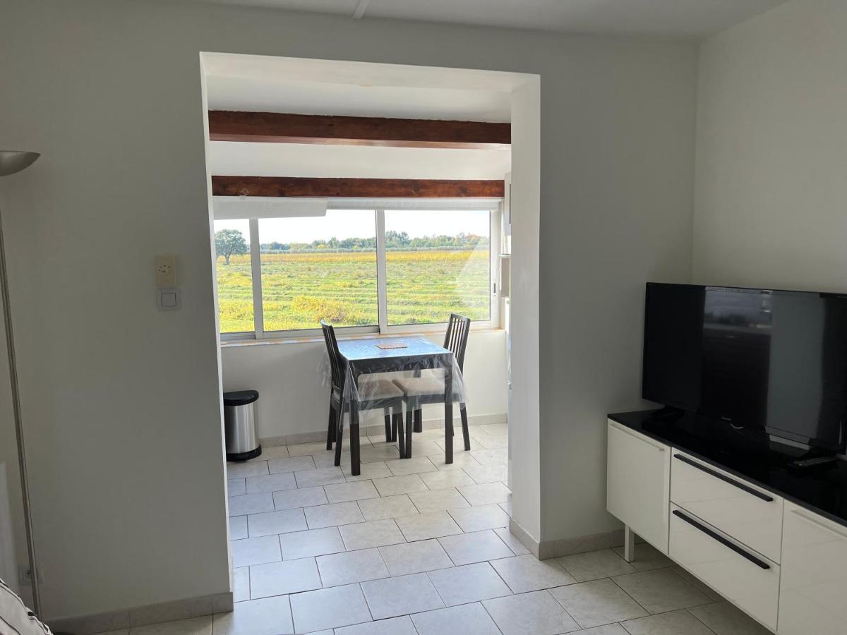 Joli Studio Tres Clair A Proximite Mer Pour 3 Personnes La Londe-les-Maures Exteriör bild