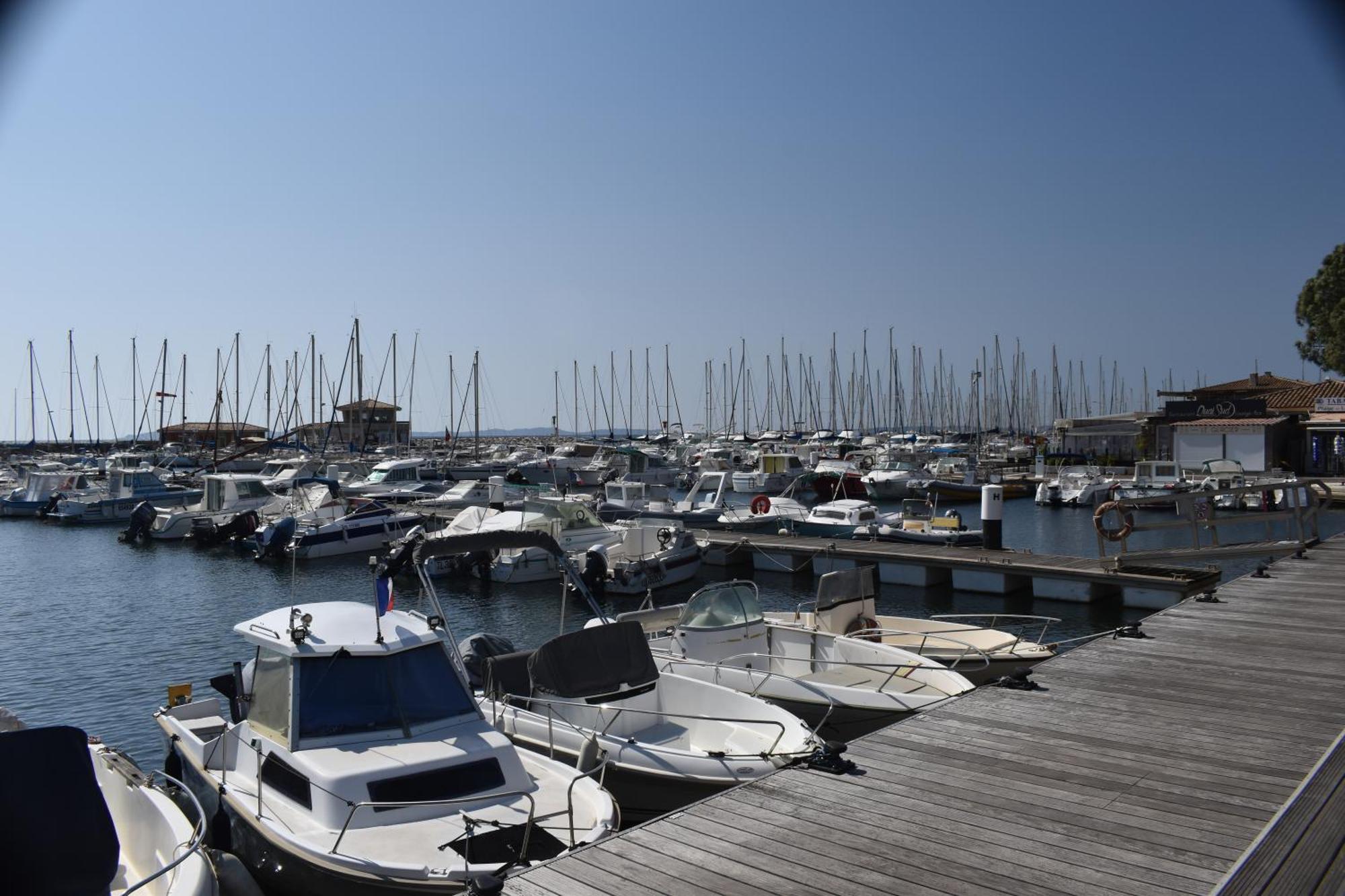 Joli Studio Tres Clair A Proximite Mer Pour 3 Personnes La Londe-les-Maures Exteriör bild