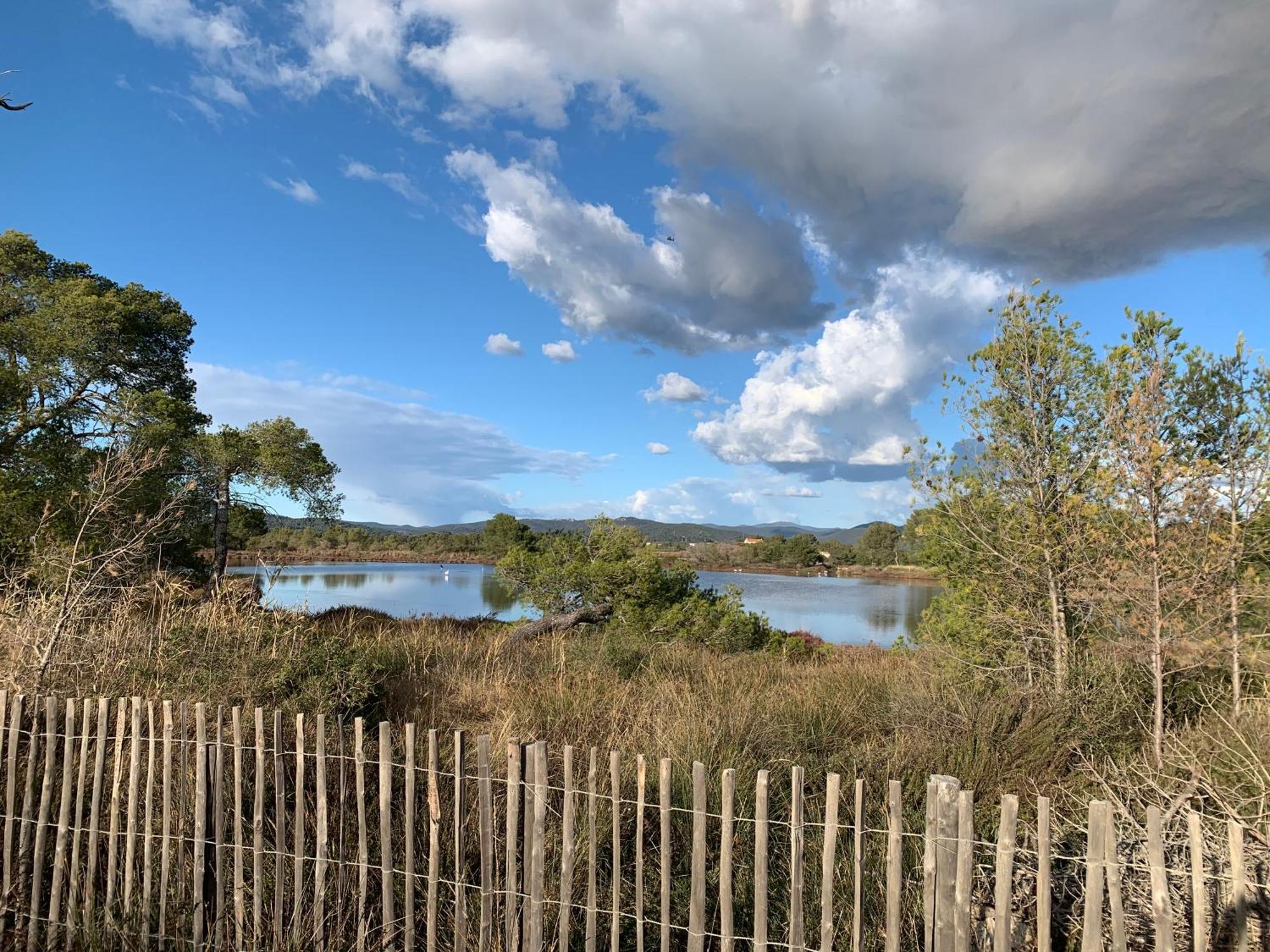 Joli Studio Tres Clair A Proximite Mer Pour 3 Personnes La Londe-les-Maures Exteriör bild