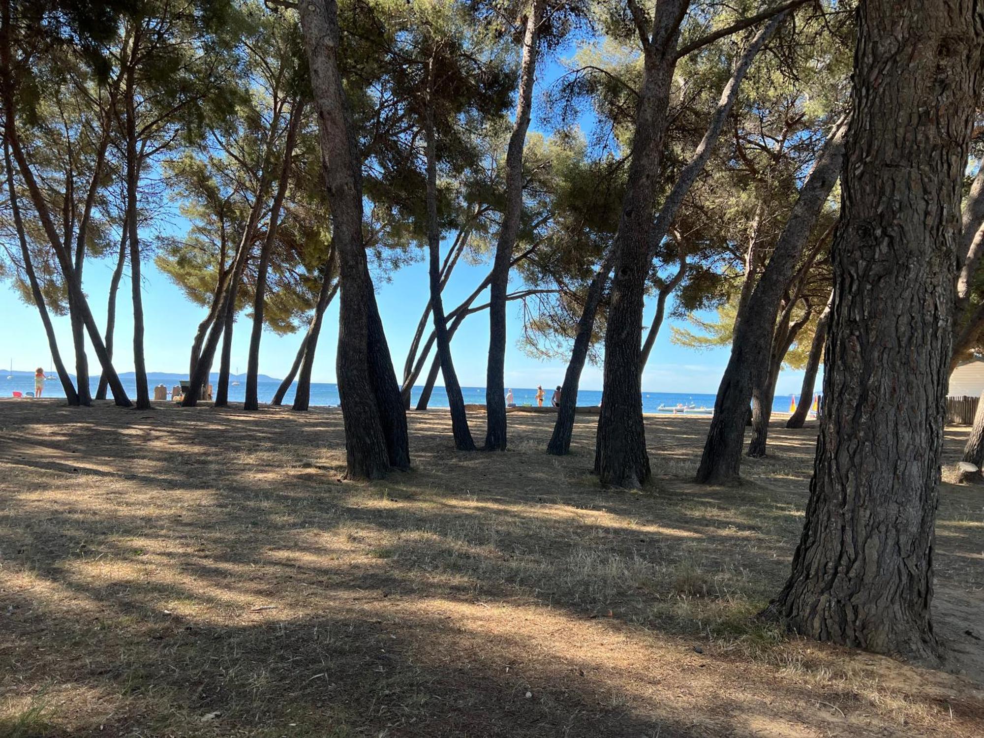 Joli Studio Tres Clair A Proximite Mer Pour 3 Personnes La Londe-les-Maures Exteriör bild