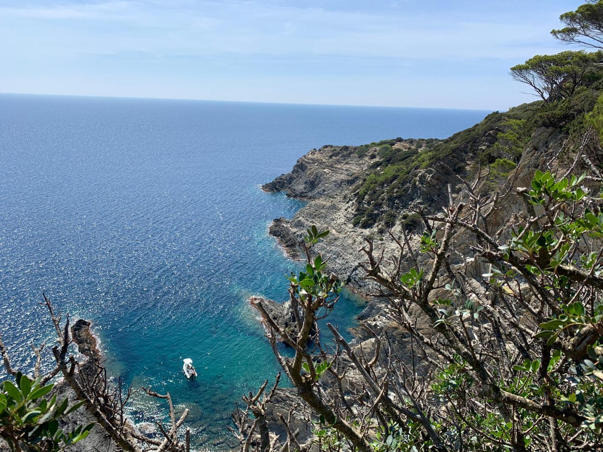 Joli Studio Tres Clair A Proximite Mer Pour 3 Personnes La Londe-les-Maures Exteriör bild